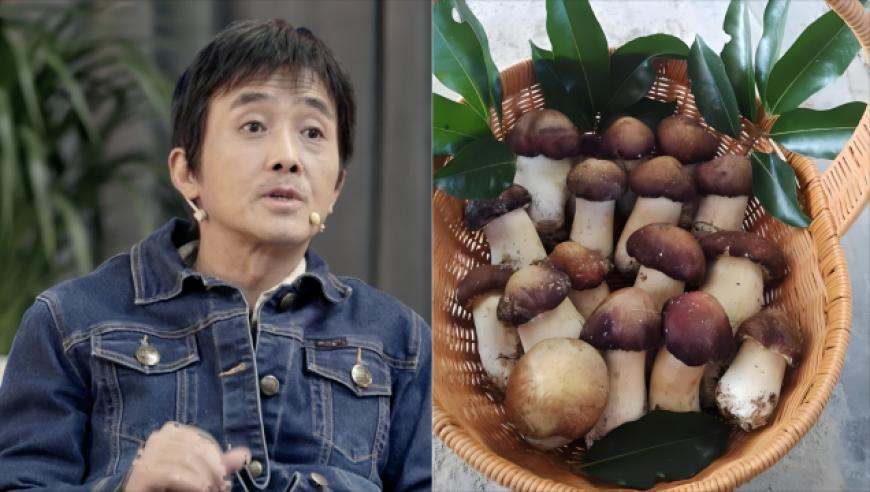 新澳2025年开奖记录,比亚迪“兆瓦闪充”如何掀燃油车的桌,全面解答解释落实_投资版V1.48