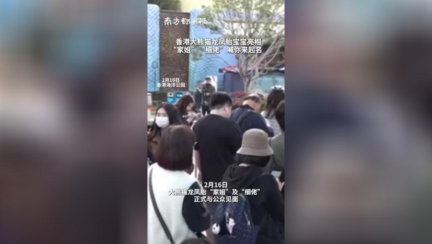 乌将在与美会晤时提议俄乌部分停火,澳新彩开奖,权威独家讨论与热门话题_iPadV10.49