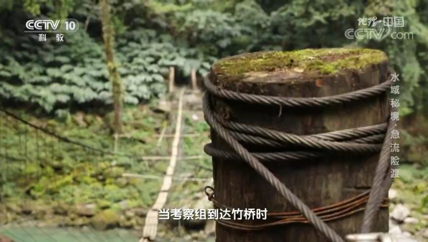 网友不语只是一味让饺子导演别怕,995澳门论坛六码肖6码,多元化方案执行策略_HarmonyOSV11.36