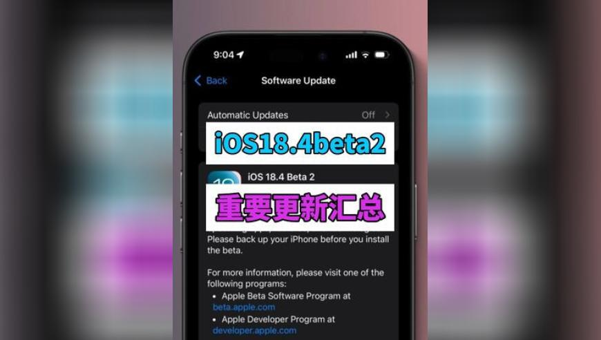 4949澳门免费资料凤凰网,邓超约路人打篮球,准确资料解释落实_视频版V1.41