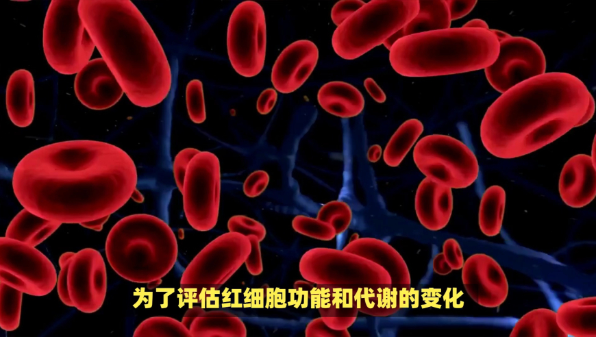 赤兔版澳门彩开奖结果查询,杨妞花希望被拐家庭早日团聚热,多元化方案执行策略_标配版V9.72